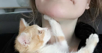 méonya pet sitter à PESSAC 33600_2