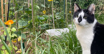 candice pet sitter à Palaiseau 91120_2