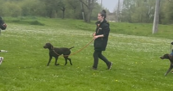 manon pet sitter à NANCY 54000_8