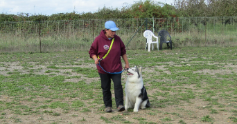 gaëlle dog sitter à COULMIERS 45130_2