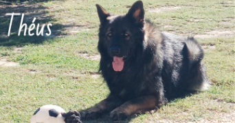 valérie pet sitter à Le Thor 84250_43