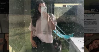diana pet sitter à GRETZ ARMAINVILLIERS 77220