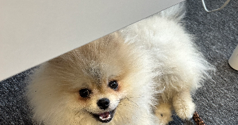 maËline pet sitter à PARIS 17 75017_4