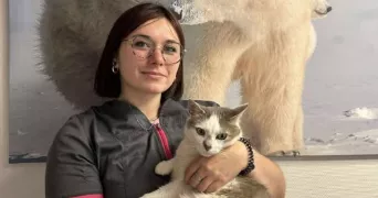 eloïse pet sitter à BEAUMONT SUR SARTHE 72170