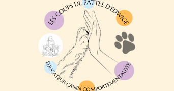 edwige pet sitter à PALAISEAU 91120_0