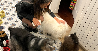 louise pet sitter à BRY SUR MARNE 94360_2