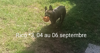 corine pet sitter à MARSEILLE 12 13012_7