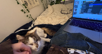 colombe pet sitter à AIX EN PROVENCE 13090_6