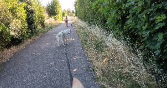 tatiana pet sitter à CAMARET SUR AIGUES 84850_2