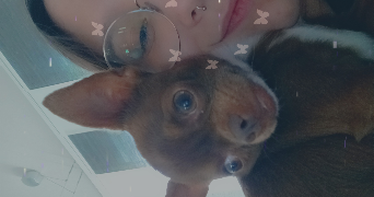 loryana pet sitter à NANCY 54000_1