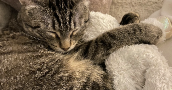 emma pet sitter à ST ALBAN LEYSSE 73230_13