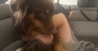 aurelie dog sitter à AMBARES ET LAGRAVE 33440_3