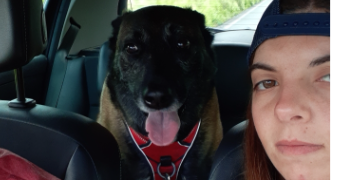 elodie pet sitter à STE SOULLE 17220_0