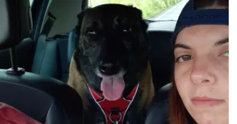 elodie pet sitter à STE SOULLE 17220