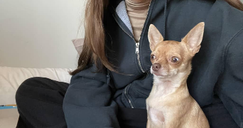 ludivine pet sitter à MARSEILLE 05 13005_3