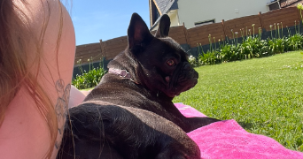 lucie pet sitter à LILLE 59000_5