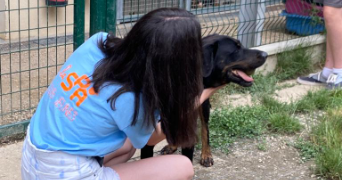anaël pet sitter à ARACHES LA FRASSE 74300_6