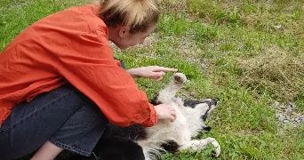 fleur pet sitter à LYON 01 69001