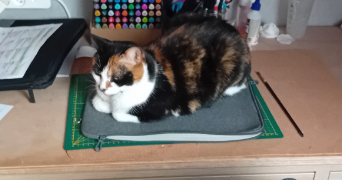 mathilde pet sitter à GRIES 67240_1