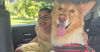 marie pet sitter à LYON 05 69005_3