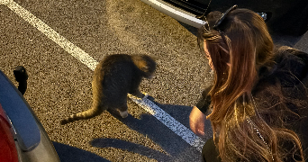 eleonore pet sitter à AIX EN PROVENCE 13100_1