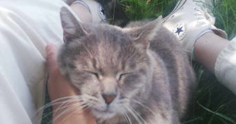 rachelle pet sitter à BOIS COLOMBES 92270_2