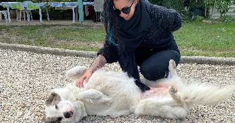 aurore pet sitter à TOURS 37000