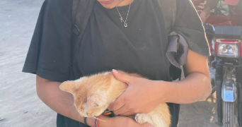 elise pet sitter à ST OUEN L AUMONE 95310_2