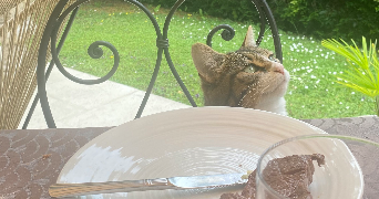 louise pet sitter à GRENOBLE 38000_2