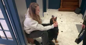 ambre pet sitter à COMBS LA VILLE 77380