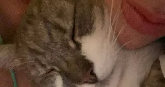 emilie pet sitter à LES ORMES 86220