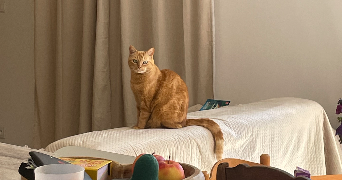 aurore pet sitter à MARSEILLE 09 13009_4