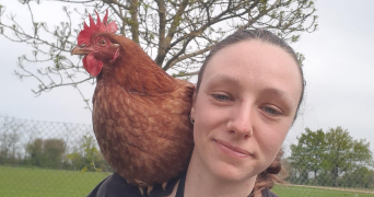 lilou pet sitter à BOUGUENAIS 44340_3