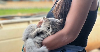 rea pet sitter à GRENOBLE 38100_1