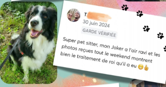 karen pet sitter à MAYENNE 53100_1