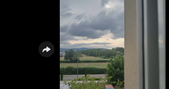 celine pet sitter à ST GENIS LES OLLIERES 69290_0