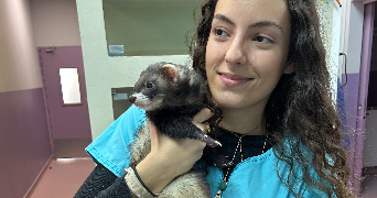 morgane pet sitter à Draguignan 83830_1