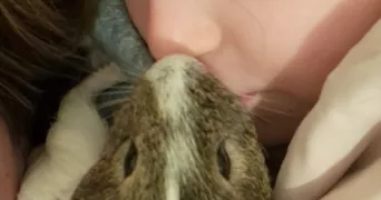 precilia pet sitter à TOMBLAINE 54510
