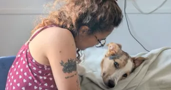 amanda dog sitter à TOULOUSE 31000
