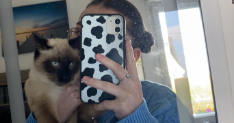 mylène pet sitter à Quimper  29000_1