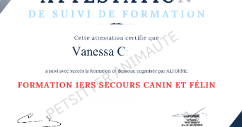 vanessa pet sitter à BRIATEXTE 81390_7