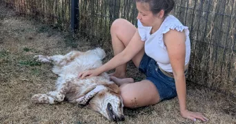 mélanie pet sitter à COUERON 44220