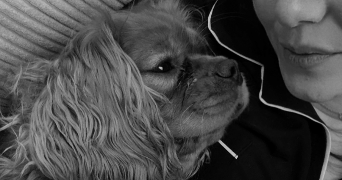 marie pet sitter à LYON 06 69006_1