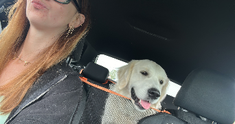 laetitia pet sitter à LES VILLAGES VOVEENS 28150_1