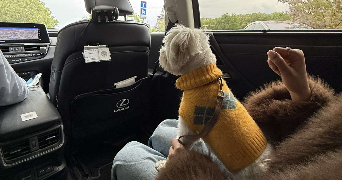 aya dog sitter à PARIS 15 75015_3