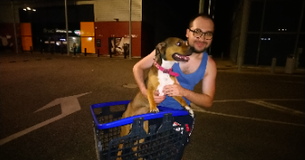 thomas pet sitter à ST LAURENT SUR SAONE 01750_2