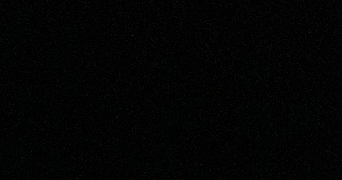 estelle dog sitter à LA PENNE SUR HUVEAUNE 13821_0