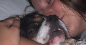 morgane pet sitter à LISTRAC MEDOC 33480_1