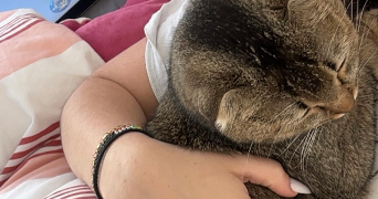 albane pet sitter à CLAMART 92140_1