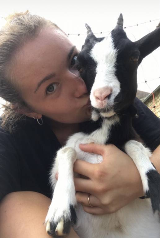 Joane  pet sitter à Grisy-Suisnes 77166_4
